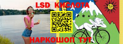 прущие грибы Партизанск