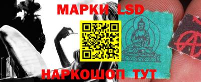прущие грибы Партизанск