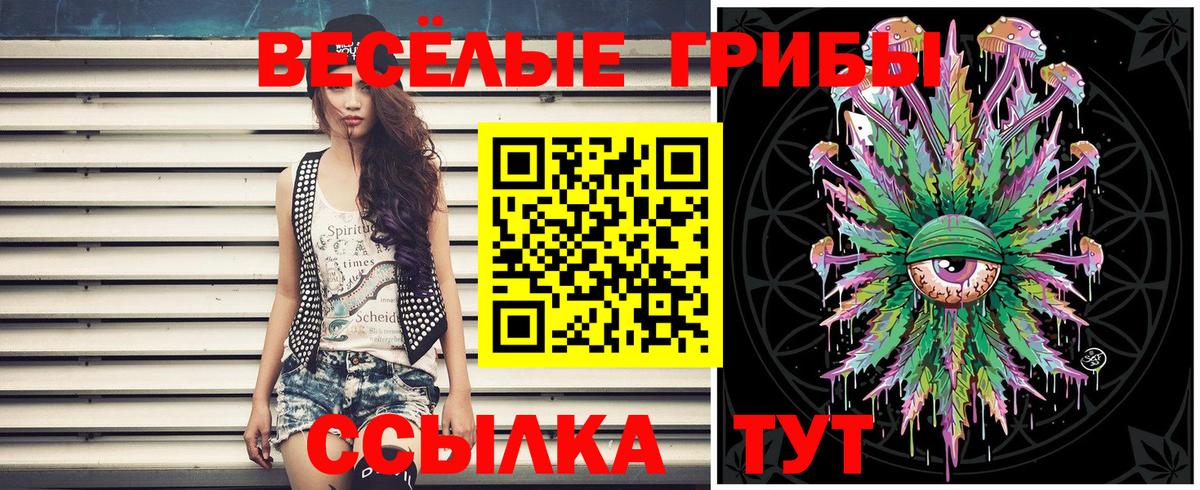Псилоцибиновые грибы Psilocybe Россия