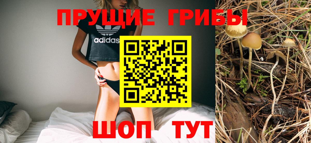 Псилоцибиновые грибы Magic Shrooms  Вход с VPN  купить  сайты  Россия  Псилоцибиновые грибы MAGIC MUSHROOMS 